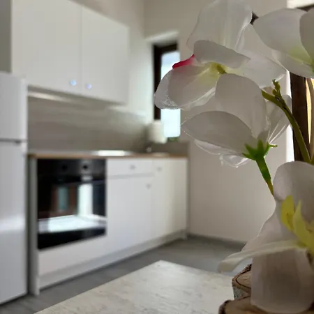 Borgo Mottola Apartment *